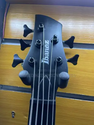 Professional Bass Guitar