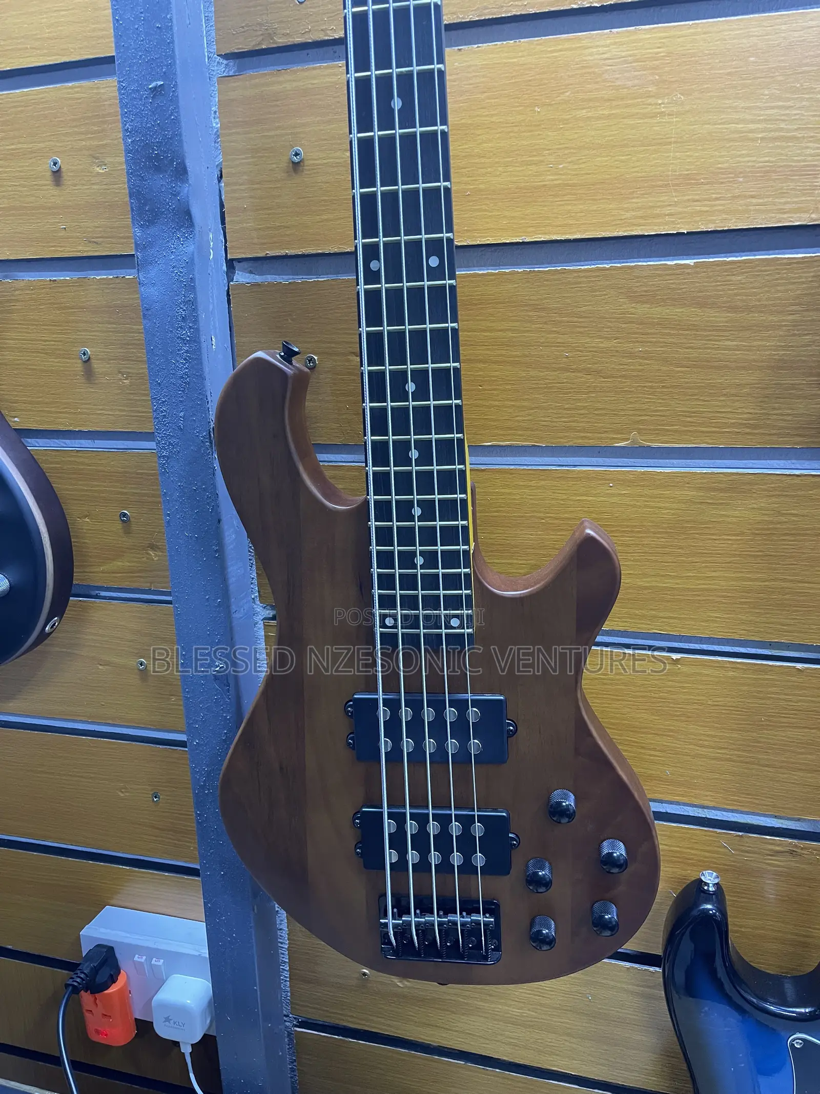 Professional Bass Guitar