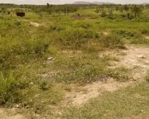3189Sqm Commercial Land for Sale in Apo Tafyi