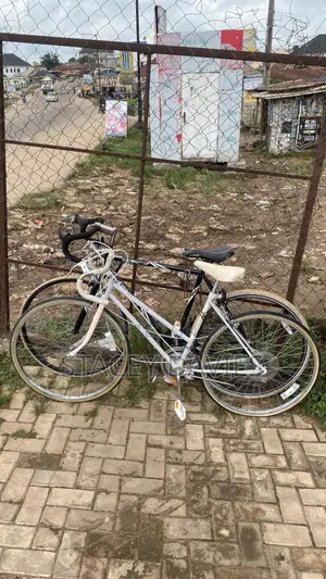 2 Units of Bicycle and Price Varies