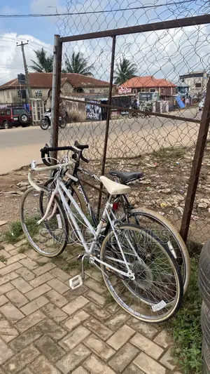 2 Units of Bicycle and Price Varies