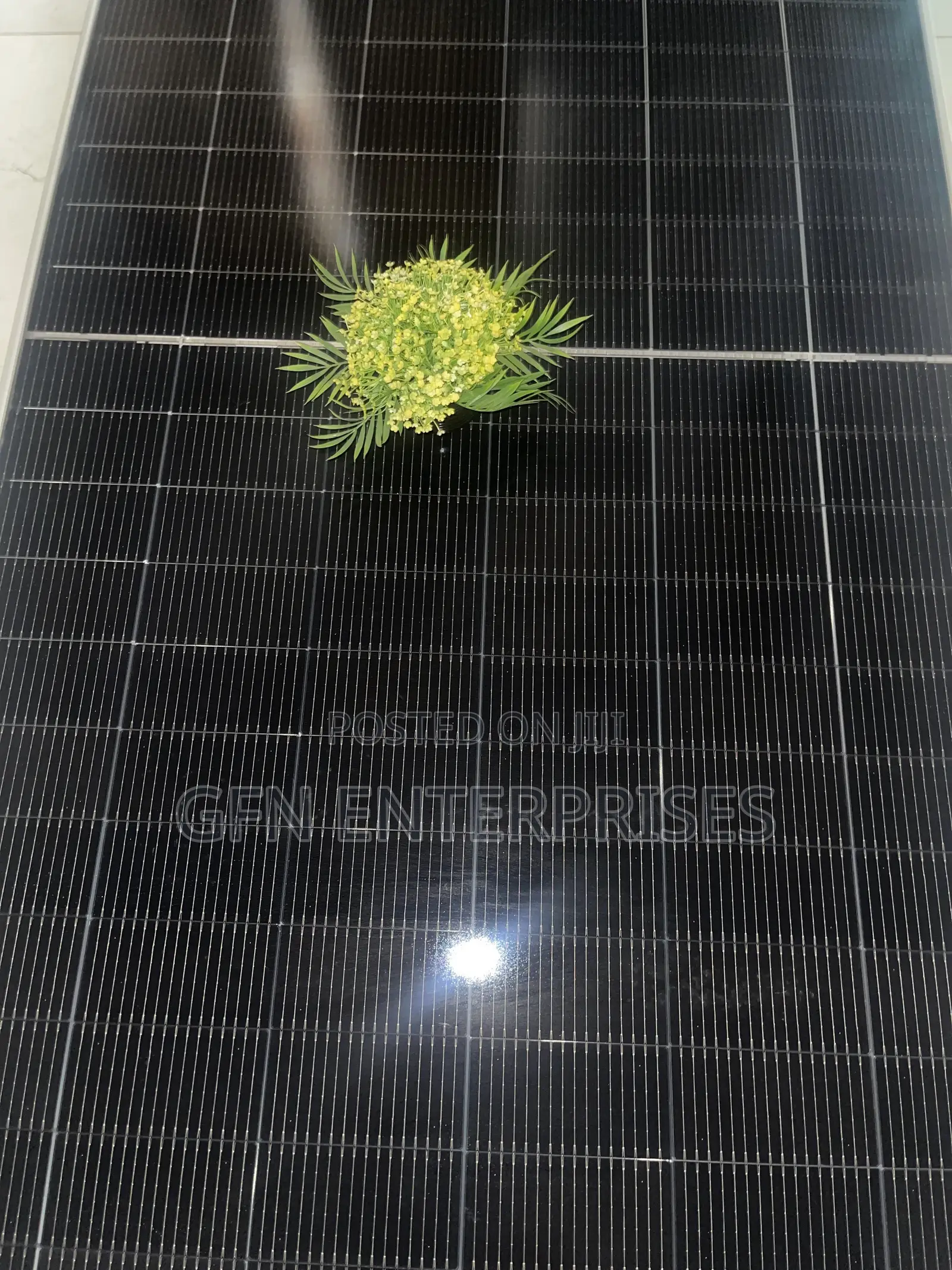 Jinko Panel 600w 144cells