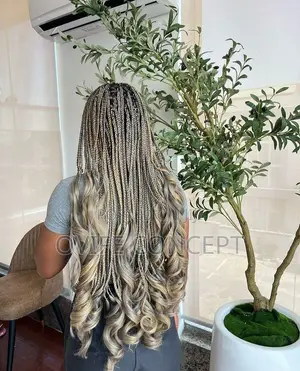 French Curly Braids Extensions
