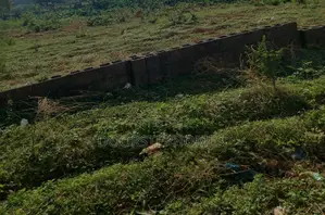 937.47Sqm Residential Land for Sale in Burun