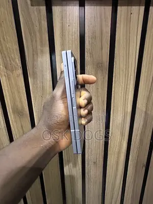 Samsung Galaxy Z Fold6 256 GB Silver