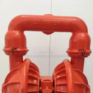 2" Wilden Pump