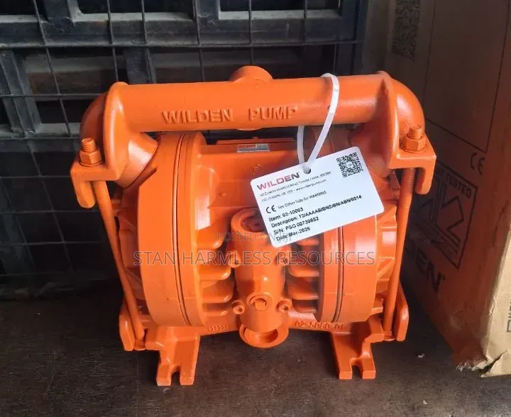 1" Wilden Pump