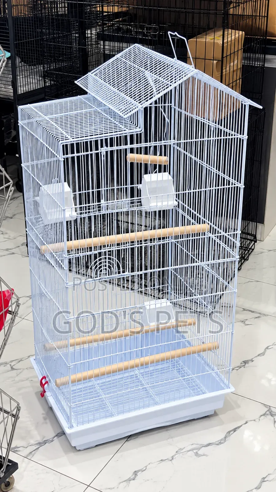 Spacy Bird Cage