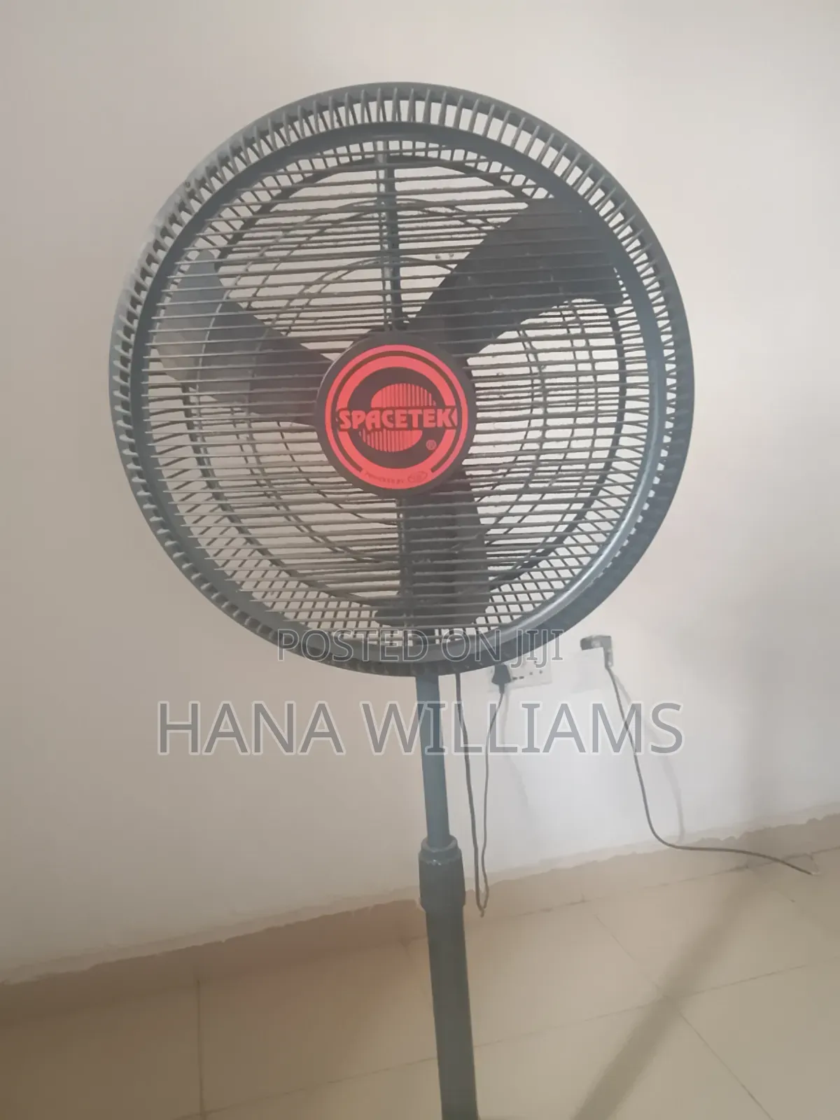 Standing Fan for Sale