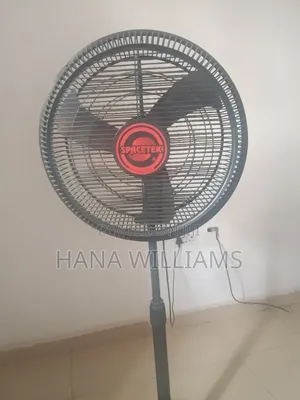 Standing Fan for Sale