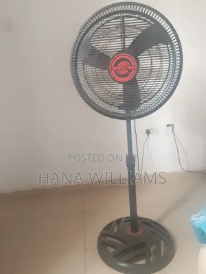 Standing Fan for Sale