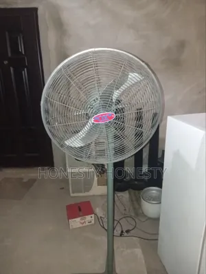 Original OX Fan for a Lucky Buyer