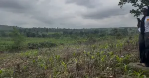 150sqm - 350sqm Plots of Land