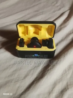 Wireless Microphone 2.4G