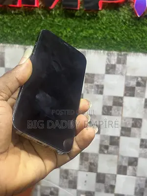 Apple iPhone 12 Pro Max 128 GB Black