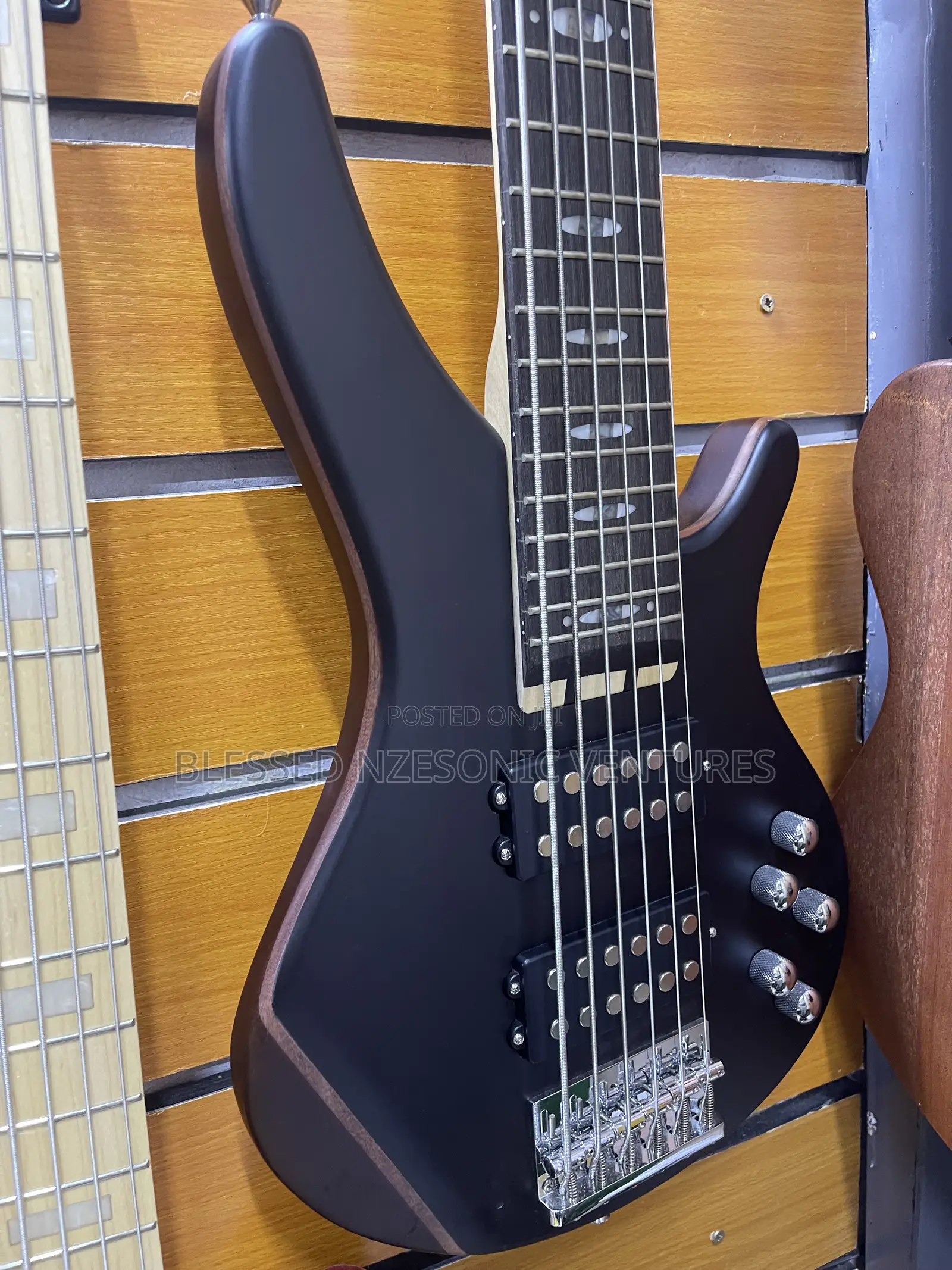 Professional Bass Guitar