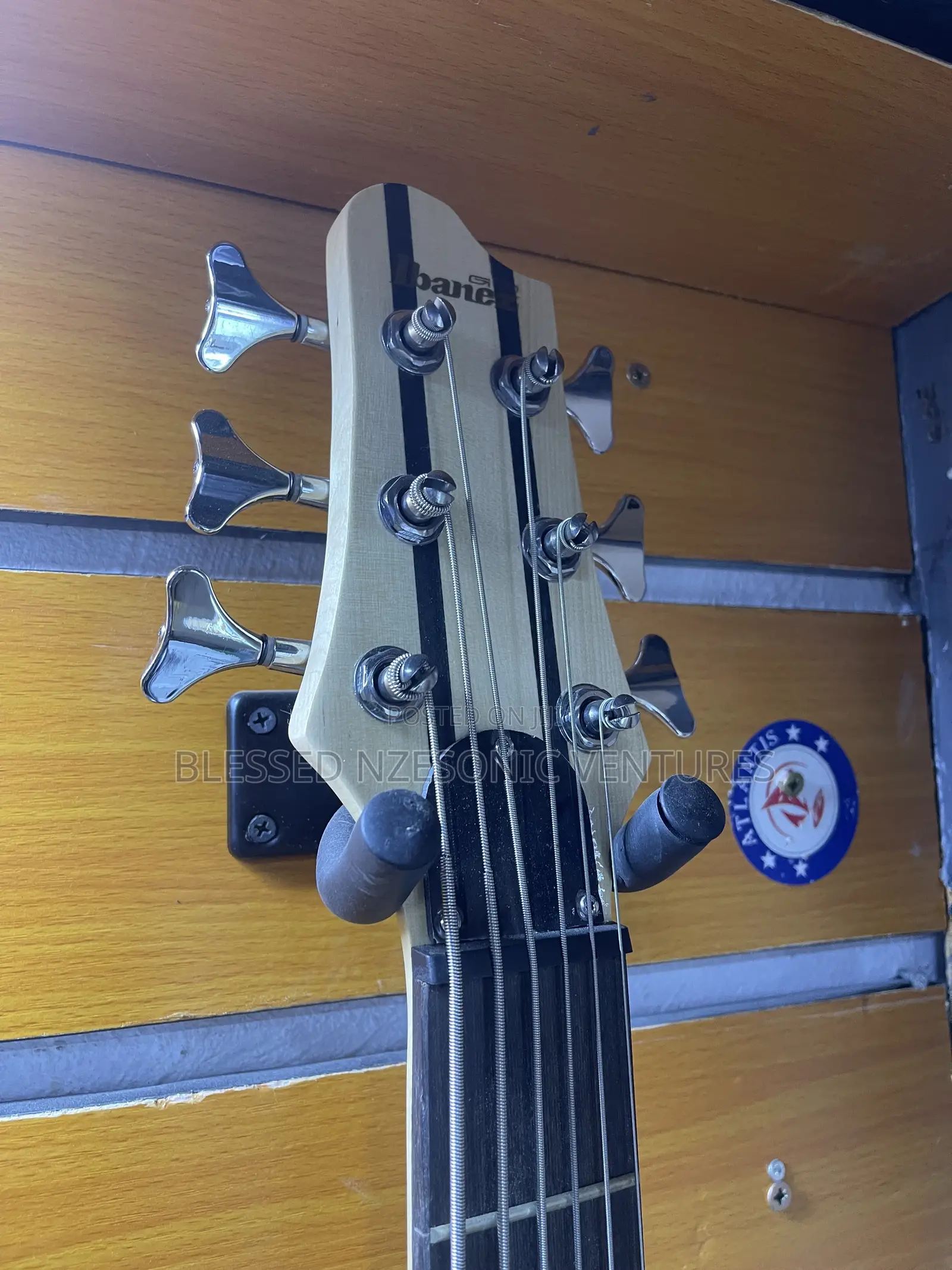 Professional Bass Guitar