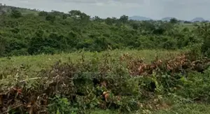 937.47Sqm Residential Land for Sale in Burun