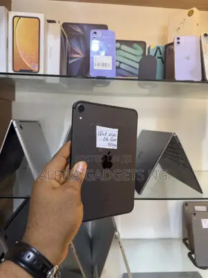 Apple iPad mini 6 256 GB Gray