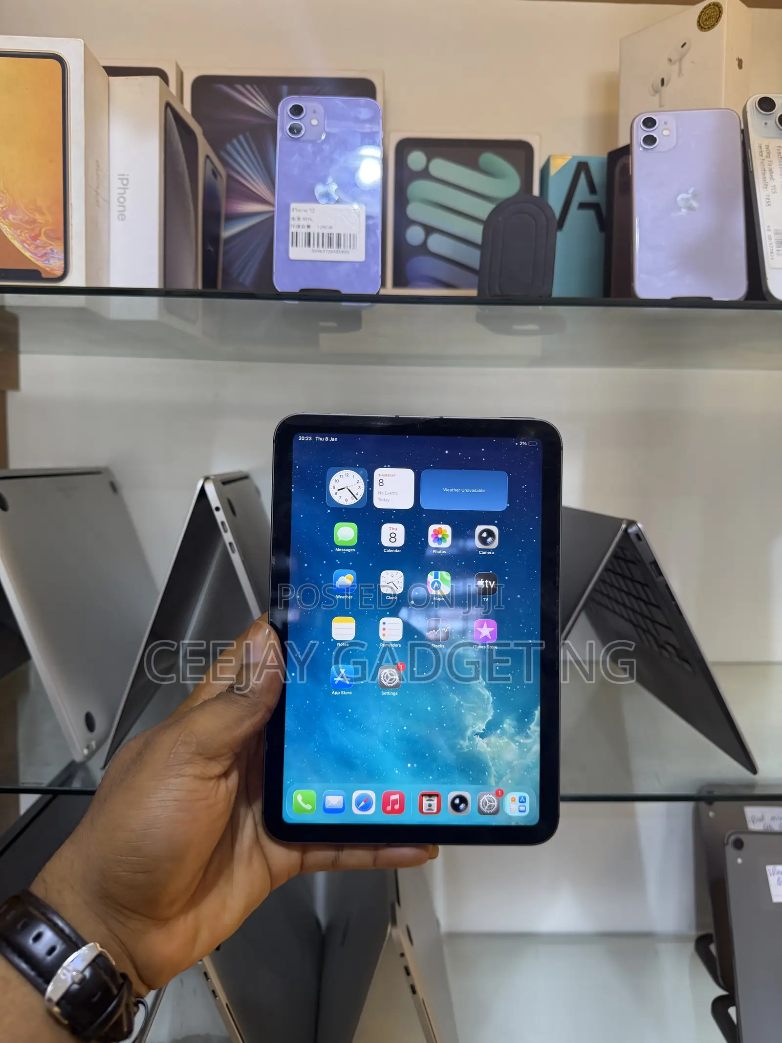 Apple iPad mini 6 256 GB Gray