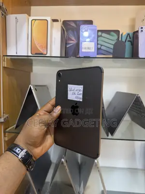 Apple iPad mini 6 256 GB Gray
