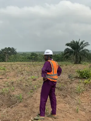 3 Acres of Farmland in ALABATA Abeokuta Close to FUNAAB