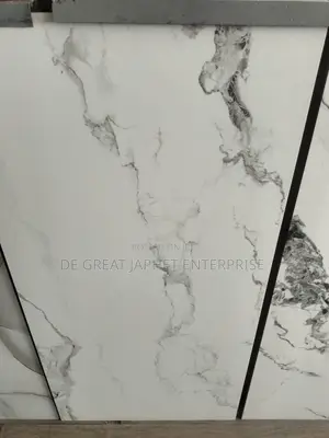 60*120 Floor Tiles Direct Supply678