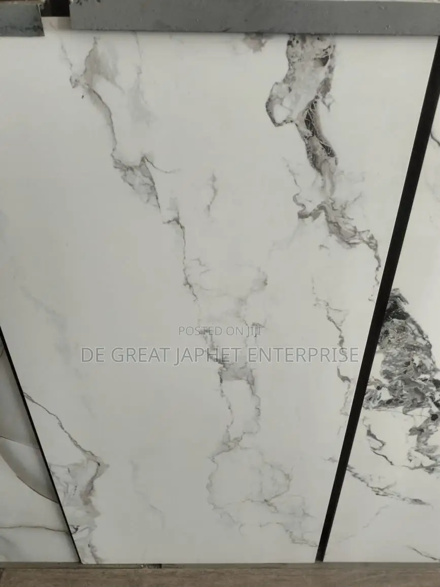 60*120 Floor Tiles Direct Supply678