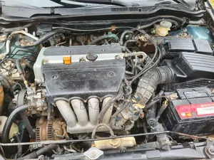 Honda Accord Automatic 2005 Green