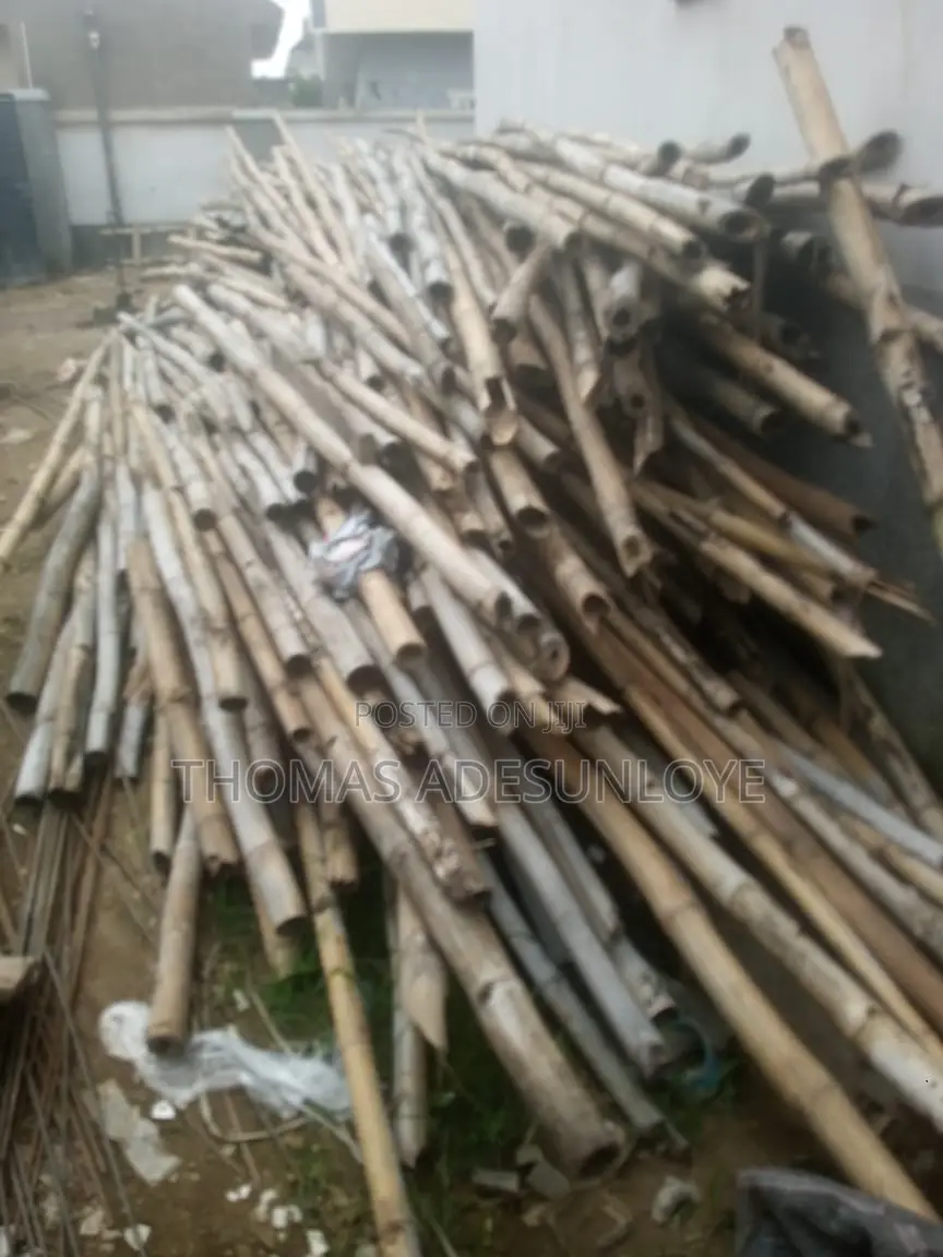 Bamboo (Used)