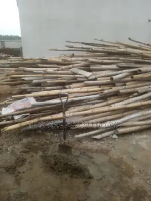 Bamboo (Used)