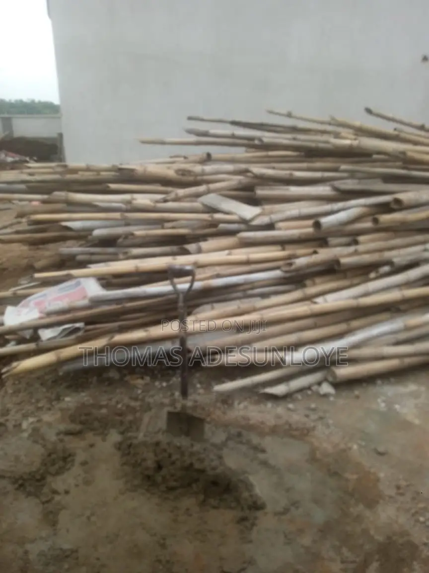 Bamboo (Used)