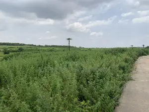 Estate Land for Sale in Karsana, Abuja