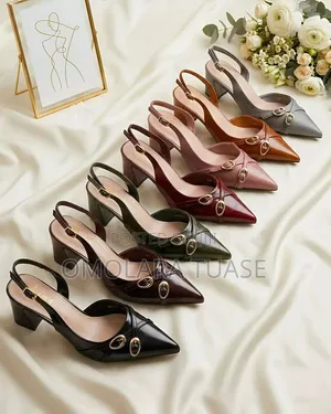 Classy Shoe