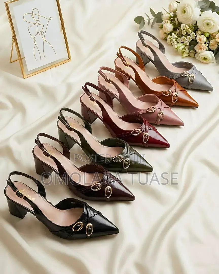 Classy Shoe