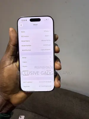 Apple iPhone 16 Pro 256 GB Silver