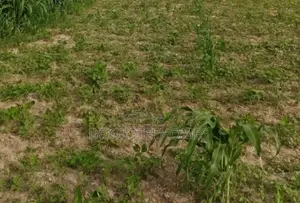 1315.13Sqm Residential Land for Sale in Asokoro