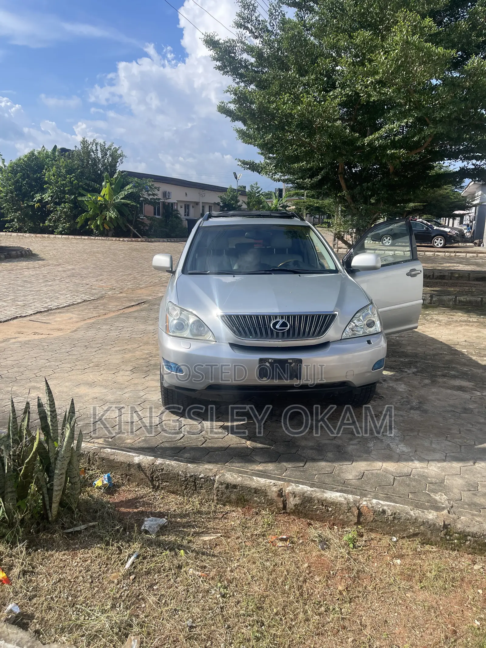 Lexus RX 2008 Silver