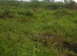 5279Sqm Mixed-Use Land for Sale in Lugbe