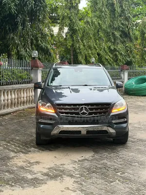 Mercedes-Benz M Class 2015 Gray