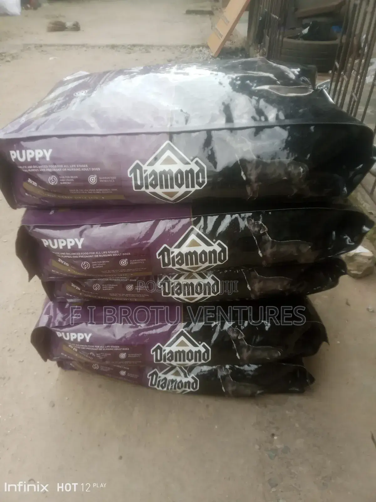 Dogs Products