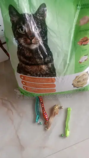 Dogs Products