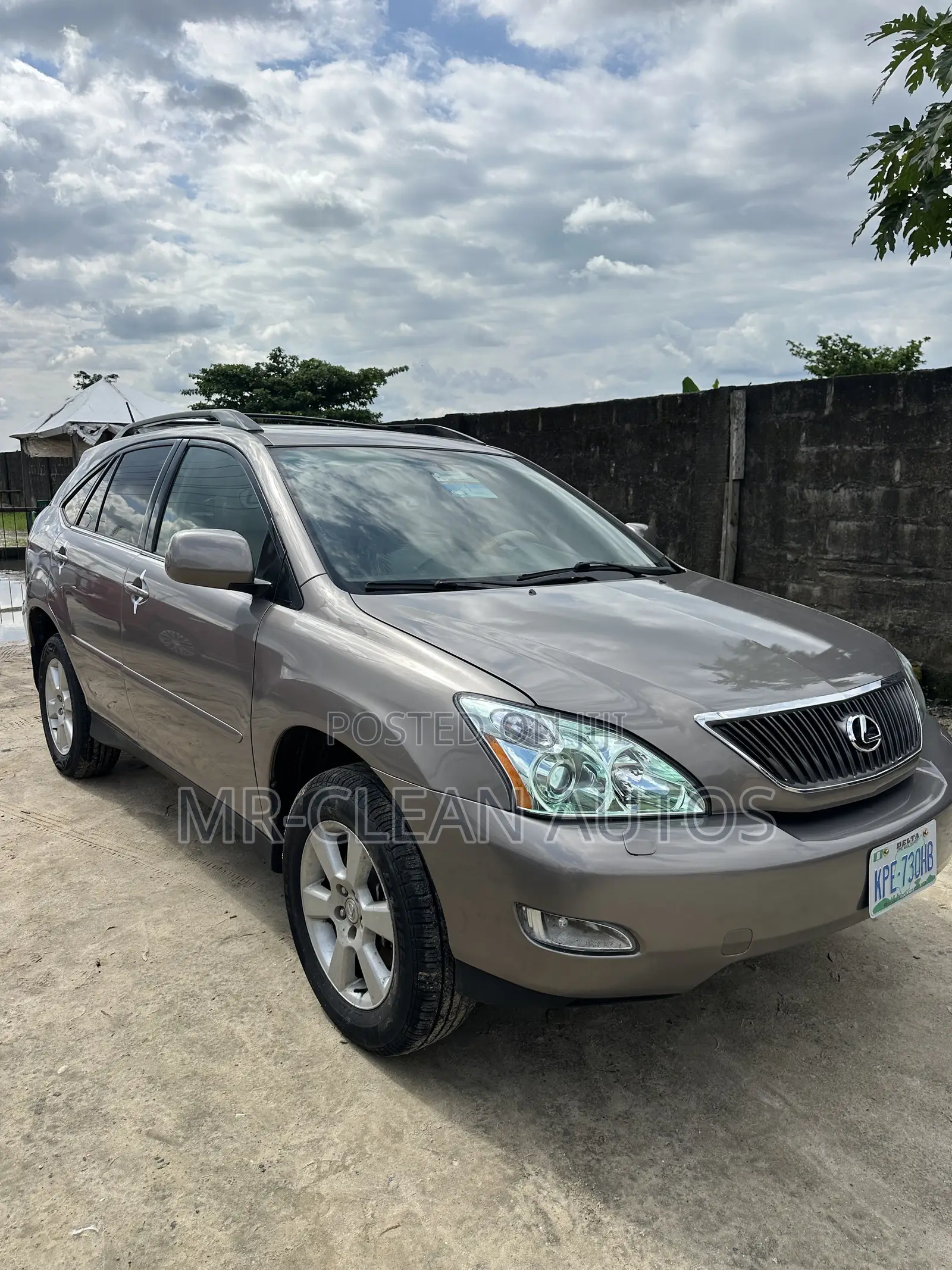 Lexus RX 330 2005 Gray
