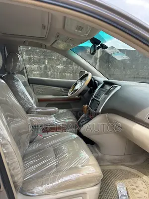 Lexus RX 330 2005 Gray