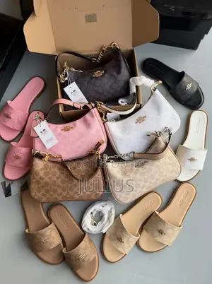 Coach Bag and Slide