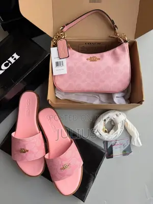 Coach Bag and Slide