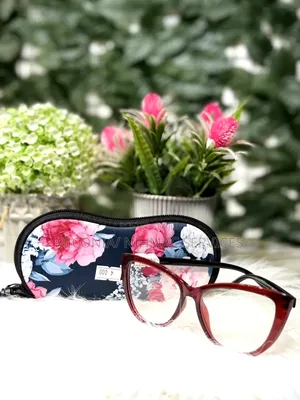 Eyeglasses Case