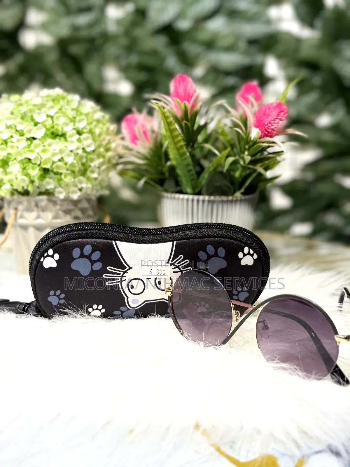 Eyeglasses Case