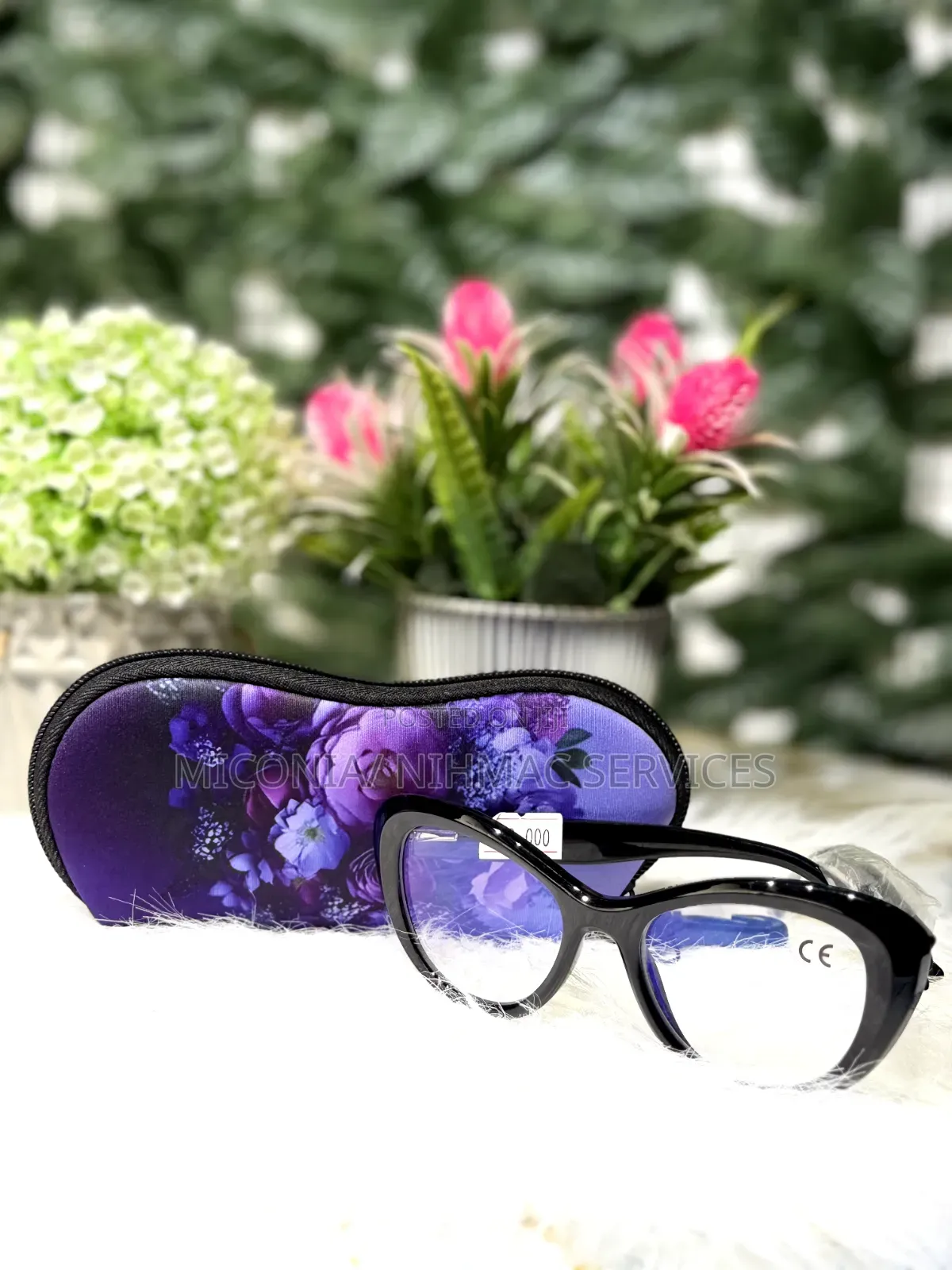 Eyeglasses Case