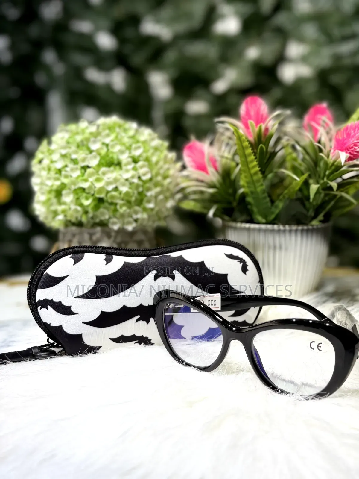 Eyeglasses Case